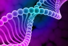 الأسباب الجينية للعقم