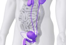 التهاب البربخ